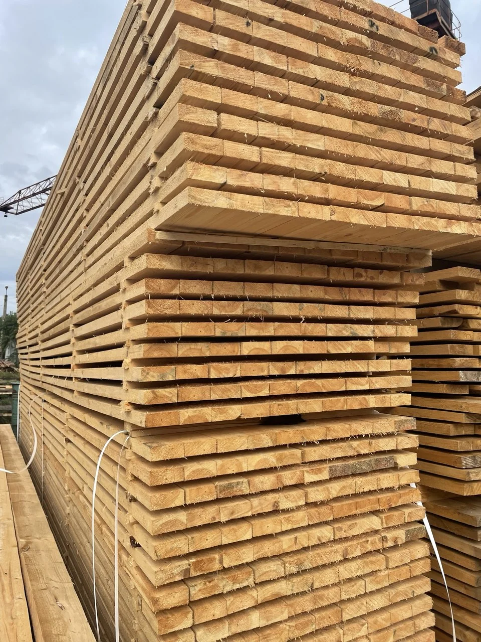 Доска обрезная 25x100x6 м
