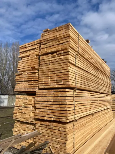 Доска обрезная 50×200×6000 мм